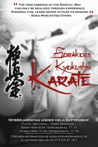 karate affisch motoe ht 2015