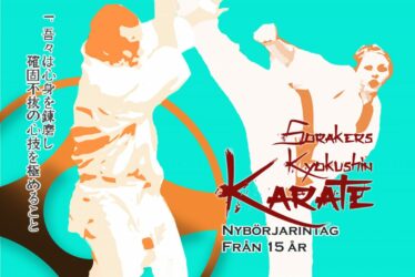 karate affisch vt2017 fb